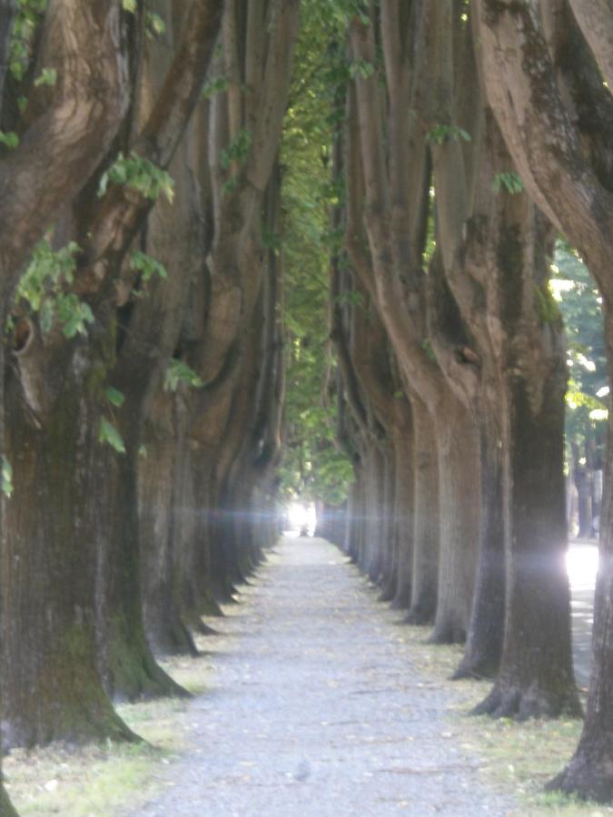 Finca Del Sol Lucca Ngoại thất bức ảnh